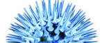 Magnetic nanoparticle