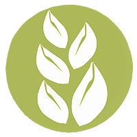 Reduced Carbon Footprint Reduced Carbon Footrprint