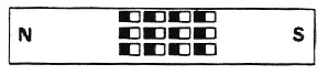 domains after magnetization