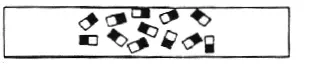 domains before magnetization